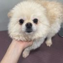 고방동물병원 이미지