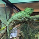 와우(양산점) 이미지