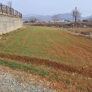 밀밭과자점 이미지