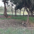 가락생태공원(2) 이미지