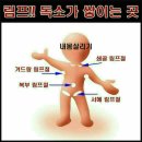 희룸 이미지