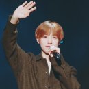 예쁨중DOG 네이버블로그