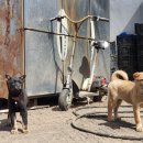 재희농장 이미지