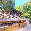 홍룡폭포(홍룡사) 이미지