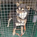 덕동마을회관 이미지