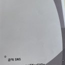 루쎄떼(Lucete) 이미지