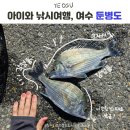 둔병마을회관 | 초보자의 감성돔, 여수 둔병도 아이랑 낚시여행 포인트