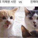 남은스테이 이미지