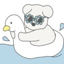 다온애견미용 이미지