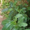 무척산관광농원 이미지