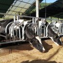 은혜축산 이미지