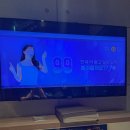 돼지 노래연습장 이미지