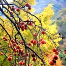 동부케어복지센터 이미지