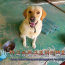 봉동로 이미지