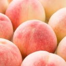 샤인코리아 이미지