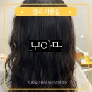 숲머리 | 성수 서울숲 미용실 모아뜨 헤어 클리닉 후기 성수동여자머리잘하는곳