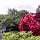서울 전시 추천 :서울시립미술관 한국 추상미술의 거장, 《유영국: 산은 내 안에 있다》역대 최대 규모...
