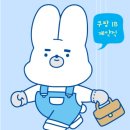 [EP.27] 쿠팡 T센터 IB계약직 후기 #113-#138 (21주차 - 25주차)
