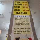 개미헤어아트 이미지