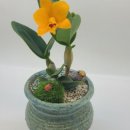 강화식물병원 이미지