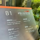[서울 종로] 공평도시유적전시관 - 지하 세계 속 종로의 옛 건물터
