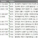 니나노여행사 이미지