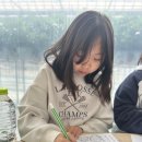 경희대 한결 태권도장 네이버블로그