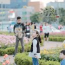 영일대약국 이미지