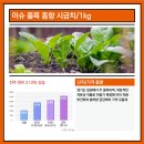 여주-0819 네이버블로그