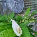 이프 편의점 이미지