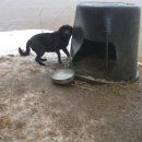 성곡보건진료소 이미지