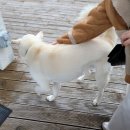 볼몽길하우스 이미지