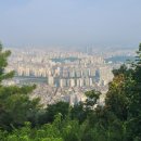 개미행정사 네이버블로그