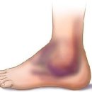 거북이한의원 이미지