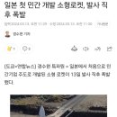 일본 첫 민간 개발 소형로켓, 발사 직후 폭발 이미지