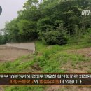 파양초교(병설) 이미지