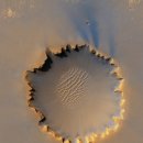 화성약국 이미지