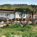 강진민박 이미지