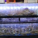 어서오시게 부천옥길점 이미지