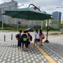 그늘막32 이미지