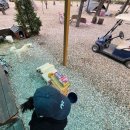 (주)아성다이소 사당1호점 | 2025. 10