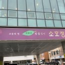 송파소호정 | [양재/개포]서울 대표 안동국시 맛집, 소호정 본점 (솔직 총평+방문 시 팁)