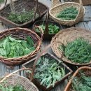 미학개론 이미지