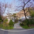 파인 힐링 | 파인포레스트 글램핑 가평글램핑 조용하게 힐링했던 봄 여행 후기