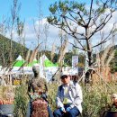 2025년 10월 22일 포천 한탄강 가든 페스타 이미지