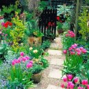 나의 정원 이미지