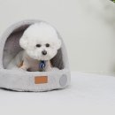 디룸 이미지