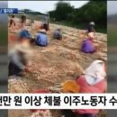대신용역 티스토리