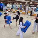 용인대 서울태권도 이미지