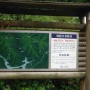 대일민박 이미지